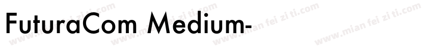 FuturaCom Medium字体转换